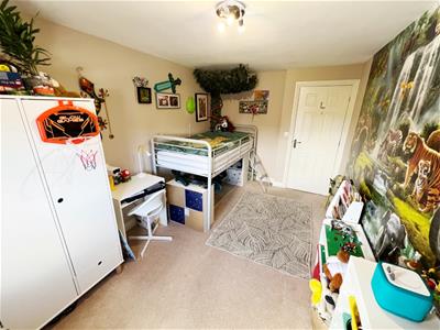 Picture 15